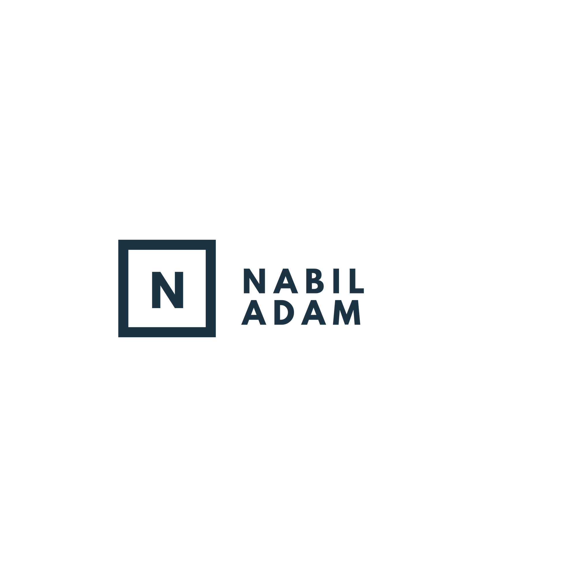 Nabil Adam | Professional Overview